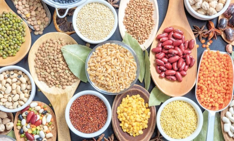 A programação também contará com debates sobre inovação e sustentabilidade, reunindo produtores, pesquisadores, estudantes e representantes do agronegócio - Foto: Ibrafe