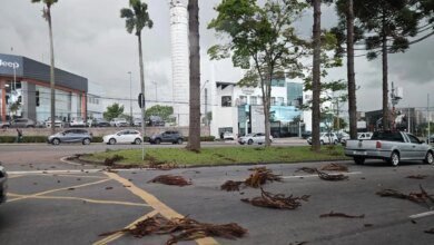 Chuva forte vira o tempo em Curitiba e com rajadas de vento
