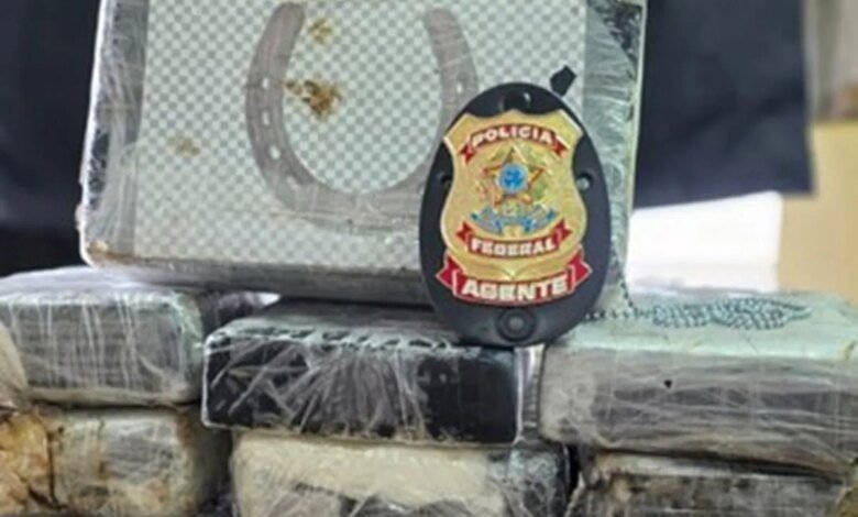 Cocaína em contêiner é apreendida no Porto de Paranaguá