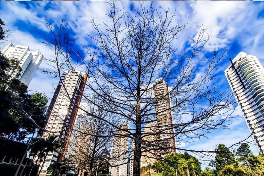 Ciclone se aproxima com temperatura máxima de 30ºC Onda de calor? Curitiba tem máxima de 30ºC na previsão do tempo
