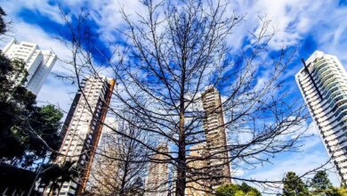Onda de calor? Curitiba tem máxima de 30ºC na previsão do tempo