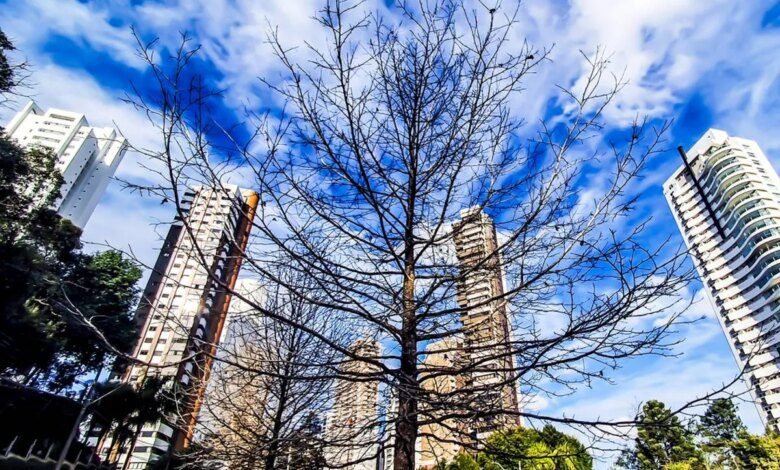 Onda de calor? Curitiba tem máxima de 30ºC na previsão do tempo