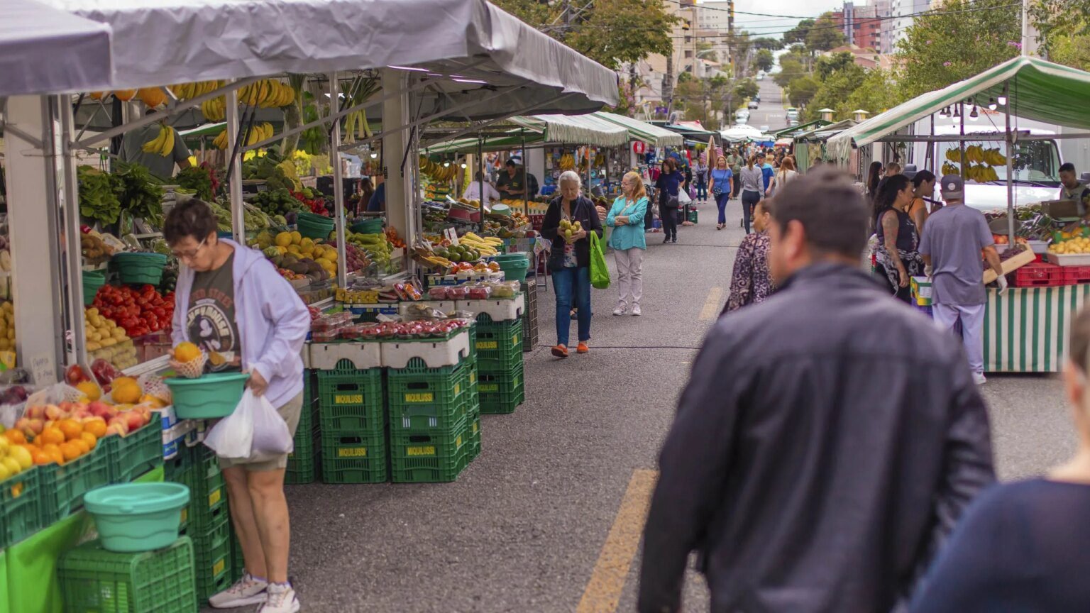 Curitiba disponibiliza serviços itinerantes e feiras nos bairros Curitiba oferece serviços itinerantes e feiras em diversos bairros