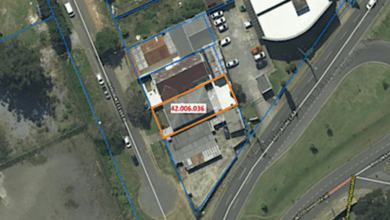 Curitiba vai trocar terrenos para sede da Rede de Proteção Animal