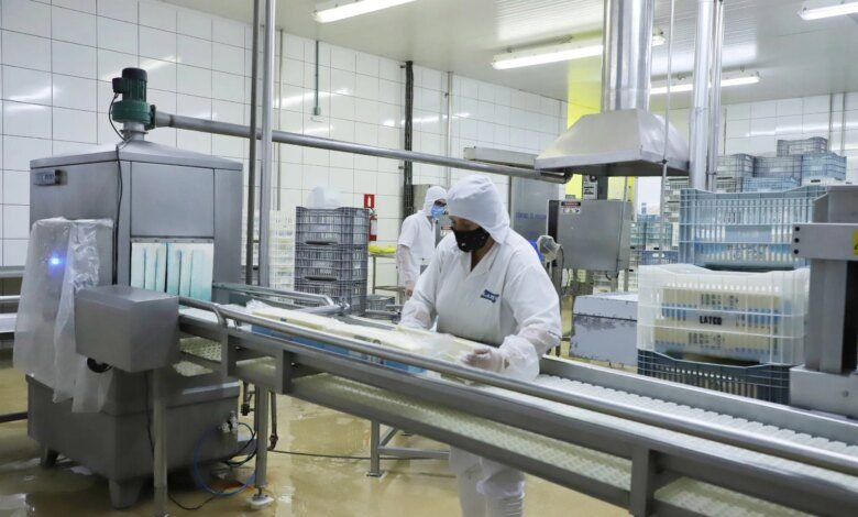 Desemprego cai e Paraná tem menor taxa em um 3º trimestre na história