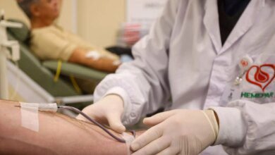 Hemepar promove ações especiais no Dia Nacional do Doador de Sangue