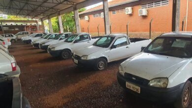 Último leilão do Paraná abre visitação nesta terça; veja modelos