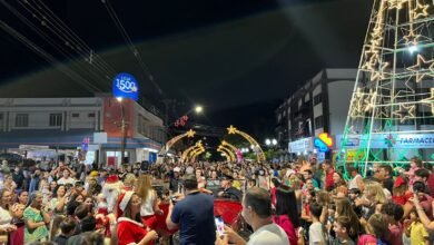 Milhares de pessoas acompanham o acender das luzes do Natal de Luz 2025 - O Paraná