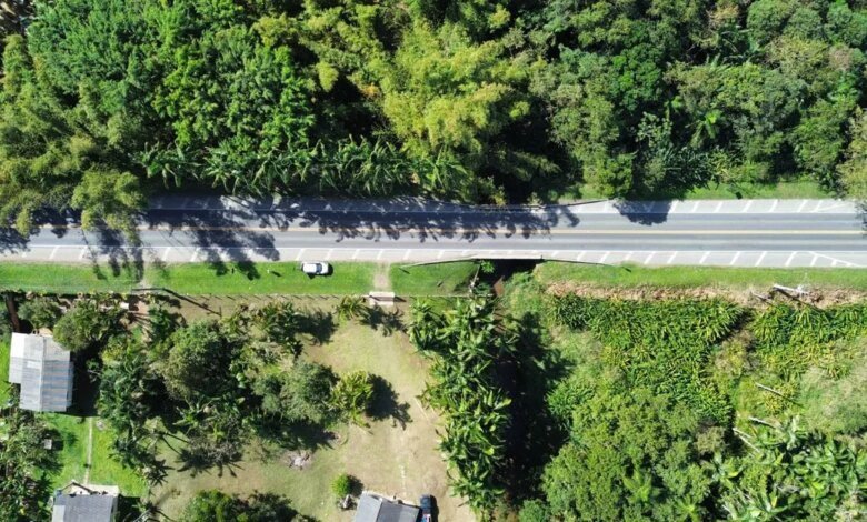 PR-408, em Morretes, ficará em 'Pare e Siga' a partir desta terça