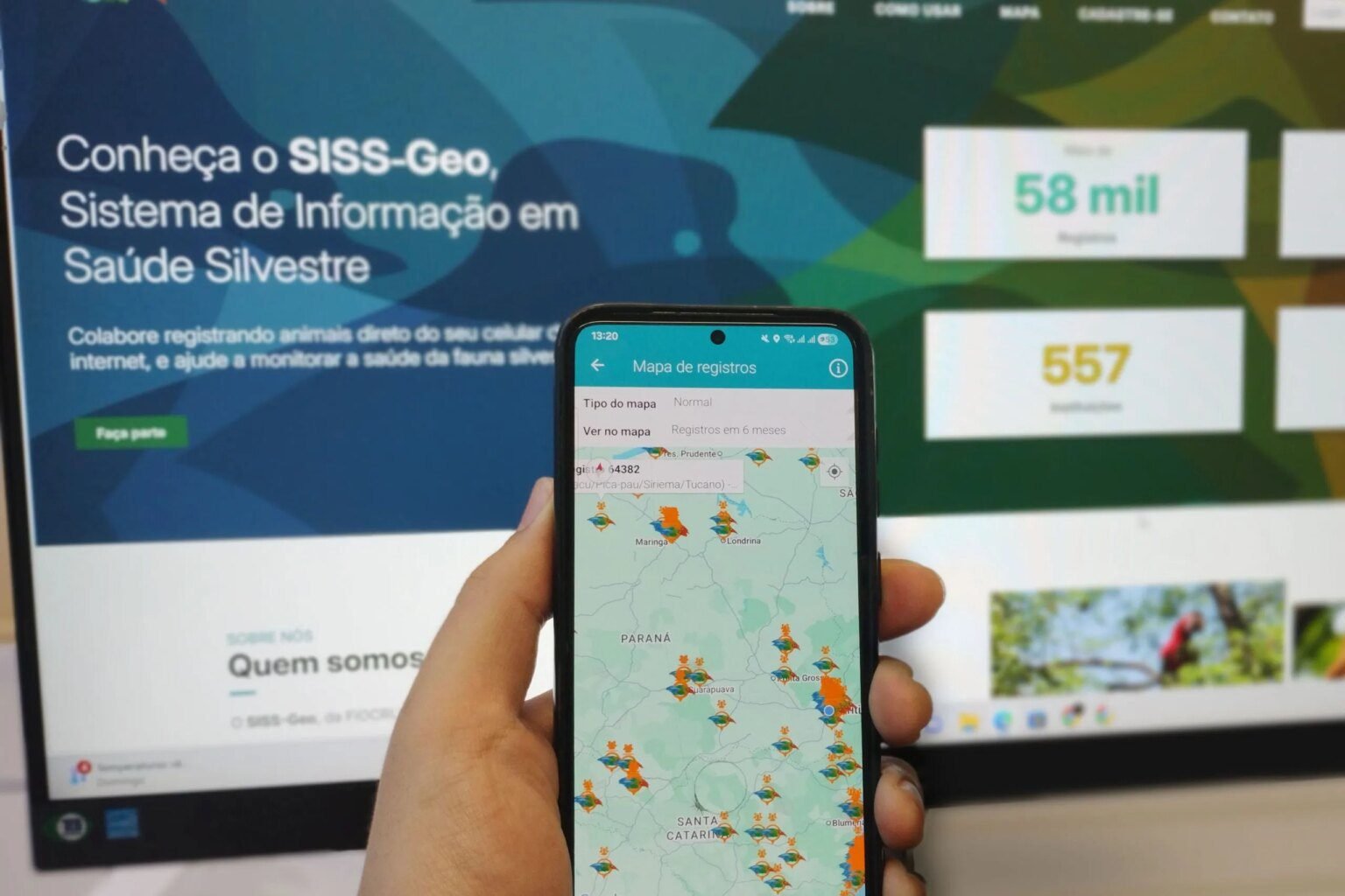 Paraná usa tecnologia avançada para monitorar febre amarela em tempo real