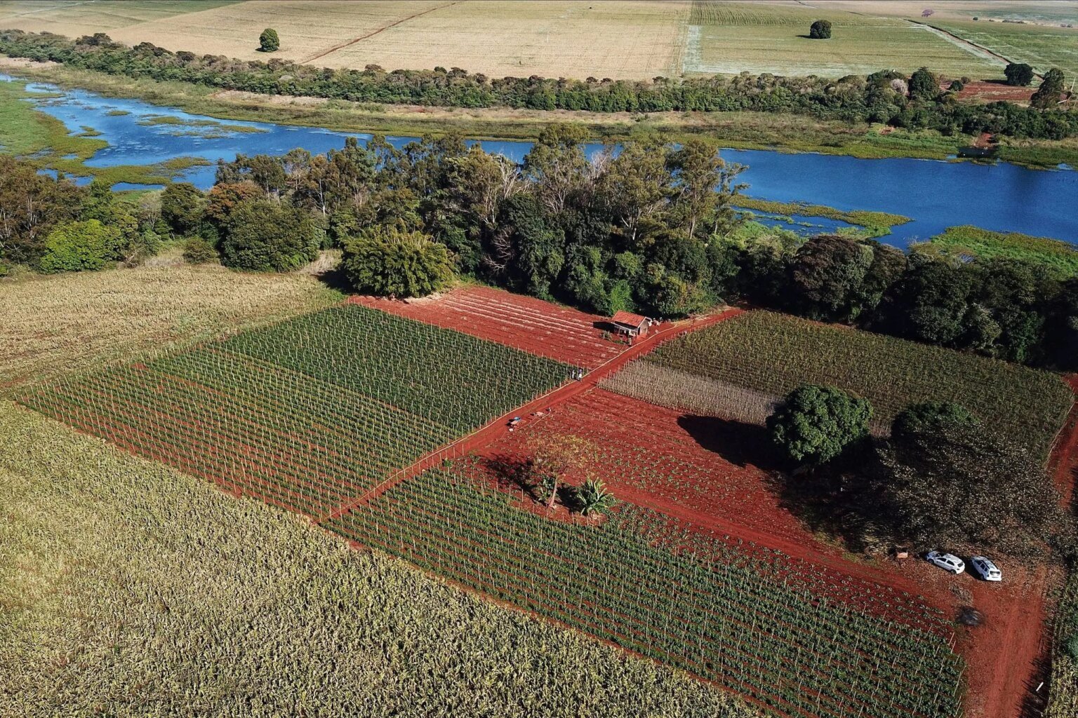 Paraná avança em sustentabilidade e combate às mudanças climáticas Paraná avança em planos de sustentabilidade e combate às mudanças climáticas
