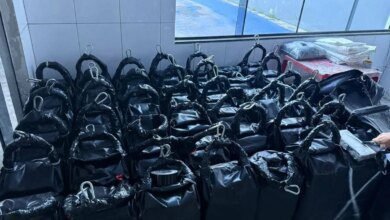 Paraná apreende mais de 1 tonelada de cocaína que iria para Europa