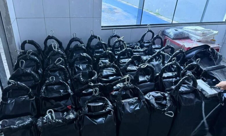 Paraná apreende mais de 1 tonelada de cocaína que iria para Europa