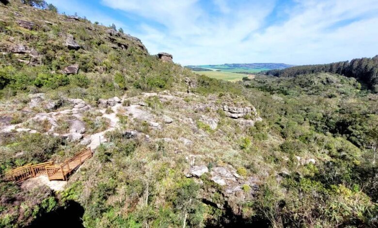 A 100 km de Curitiba, Ponta Grossa tem fósseis mais antigos que dinossauros