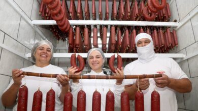 Produtores da RMC ganham acesso ao mercado de Curitiba após adesão ao Comesp