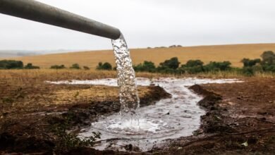 Produtores do Oeste multados em mais de R$ 1 milhão