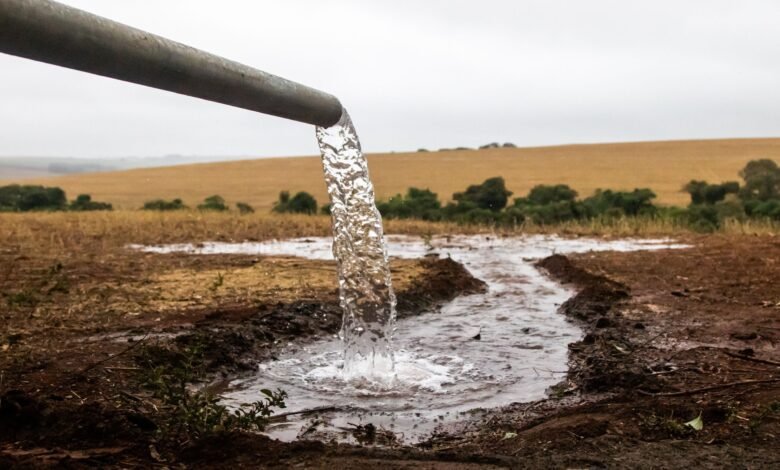 Produtores do Oeste multados em mais de R$ 1 milhão