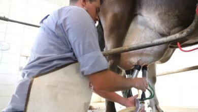 Projeto inspirado em lei do PR protege produtores