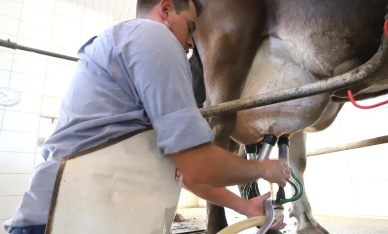 Projeto inspirado em lei do PR protege produtores