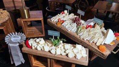 Queijos paranaenses estão entre os melhores do mundo