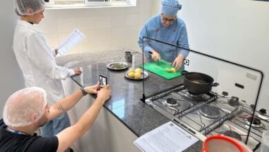Receitas para variar cardápio escolar - O Paraná