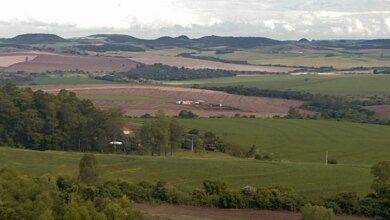 Sistema FAEP é contra aumento dos custos cartoriais no Paraná