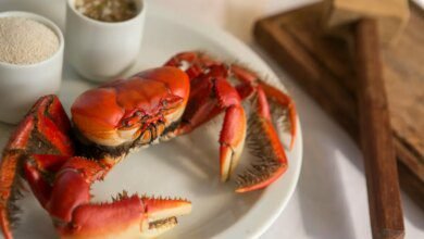 Temporada do caranguejo começa em breve; veja quando comprar (e vender)