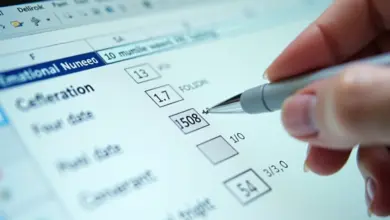 Interface de software com opções de formatação de data e número.