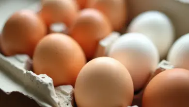 Ovos brancos e marrons em uma caixa, mostrando a diferença de cor.