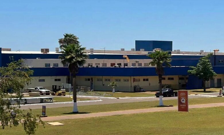 100% de aves natalinas de marca famosa são criadas no Paraná