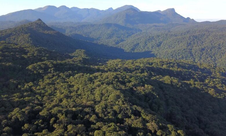 Bombeiros salvam jovens perdidos em trilha na grande Curitiba