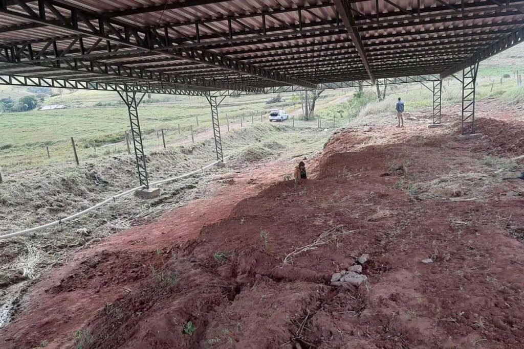 Cidade do Paraná tem tesouro fossilizado: cemitério de répteis voadores