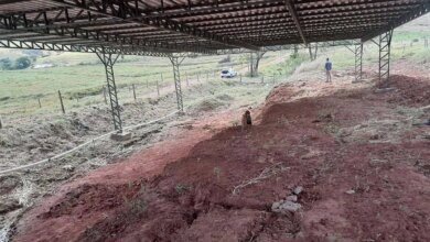 Cidade do Paraná tem tesouro fossilizado: cemitério de répteis voadores