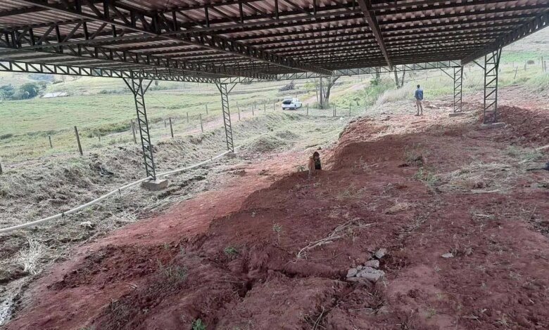 Cidade do Paraná tem tesouro fossilizado: cemitério de répteis voadores