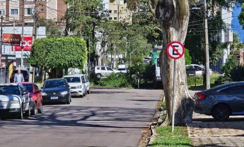 árvores caídas, equipes trabalhando e efeitos do ciclone