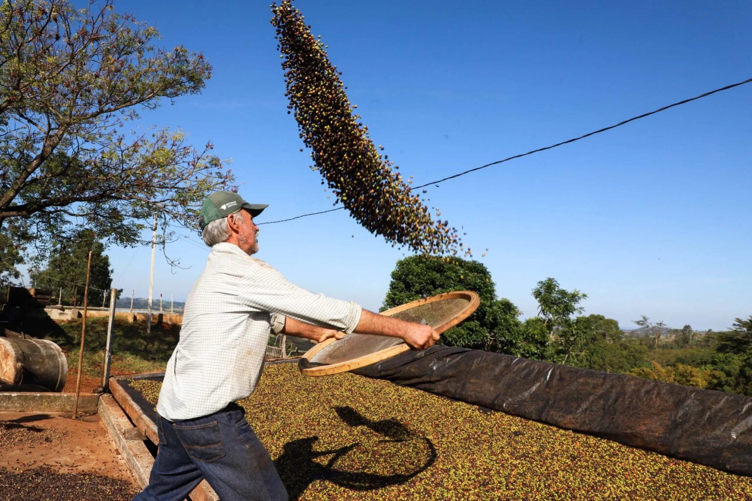 Custos de produção afetam o desempenho do agronegócio no Paraná Custos de produção impactam desempenho do agronegócio paranaense