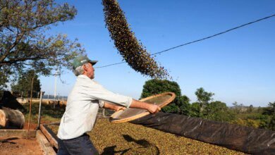 Custos de produção impactam desempenho do agronegócio paranaense