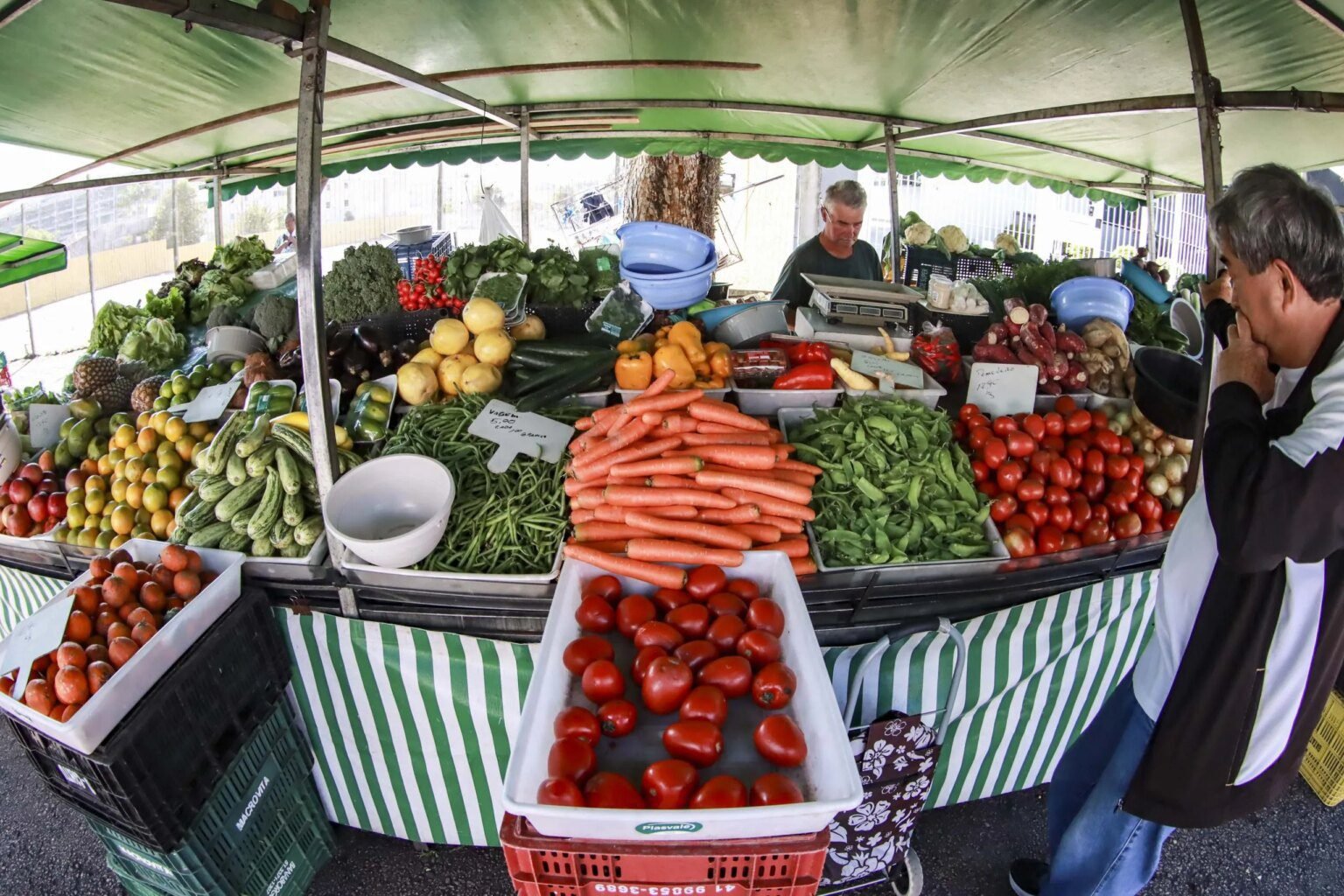 Feiras livres de sábado oferecem produtos frescos em diversos bairros