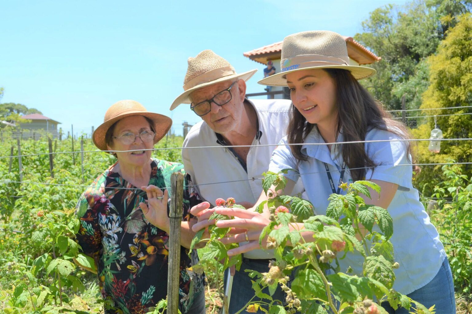 IDR-Paraná reestrutura carreiras e prevê novo concurso Lei reestrutura carreiras do IDR-Paraná e abre caminho para concurso