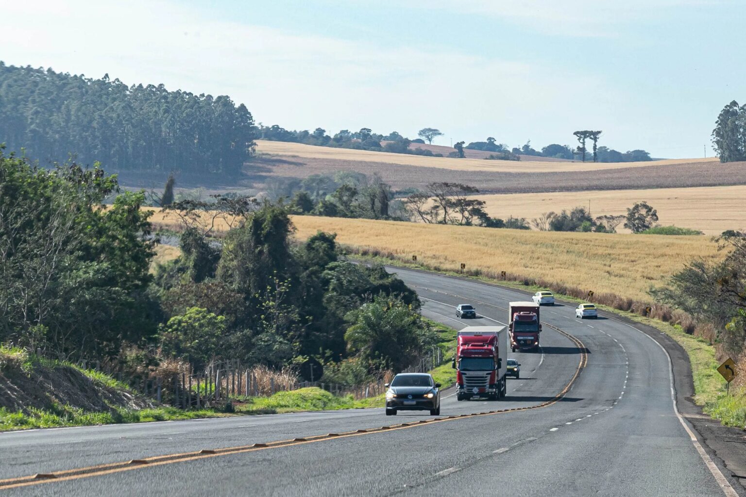 IPVA 2026 no Paraná terá redução de até 49% com pagamento à vista
