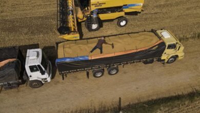 Estado do Paraná registra maior avanço do País na projeção