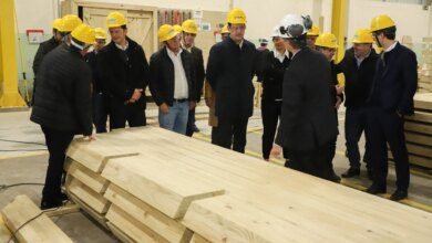 Governo do Paraná propõe medidas para apoiar setor madeireiro após tarifas dos EUA