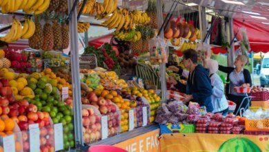 Paraná registra saldo positivo de 143 mil novas empresas até novembro de 2025