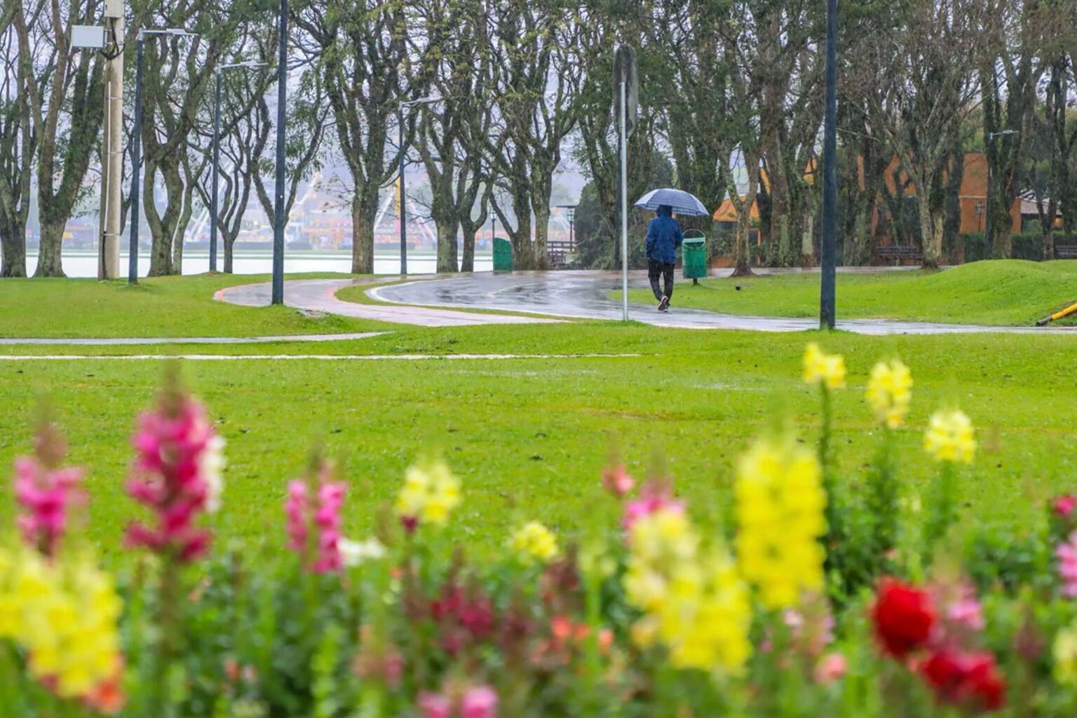 Paraná tem novembro com temperaturas baixas e chuvas fortes Paraná registra temperaturas abaixo da média e chuvas intensas em novembro