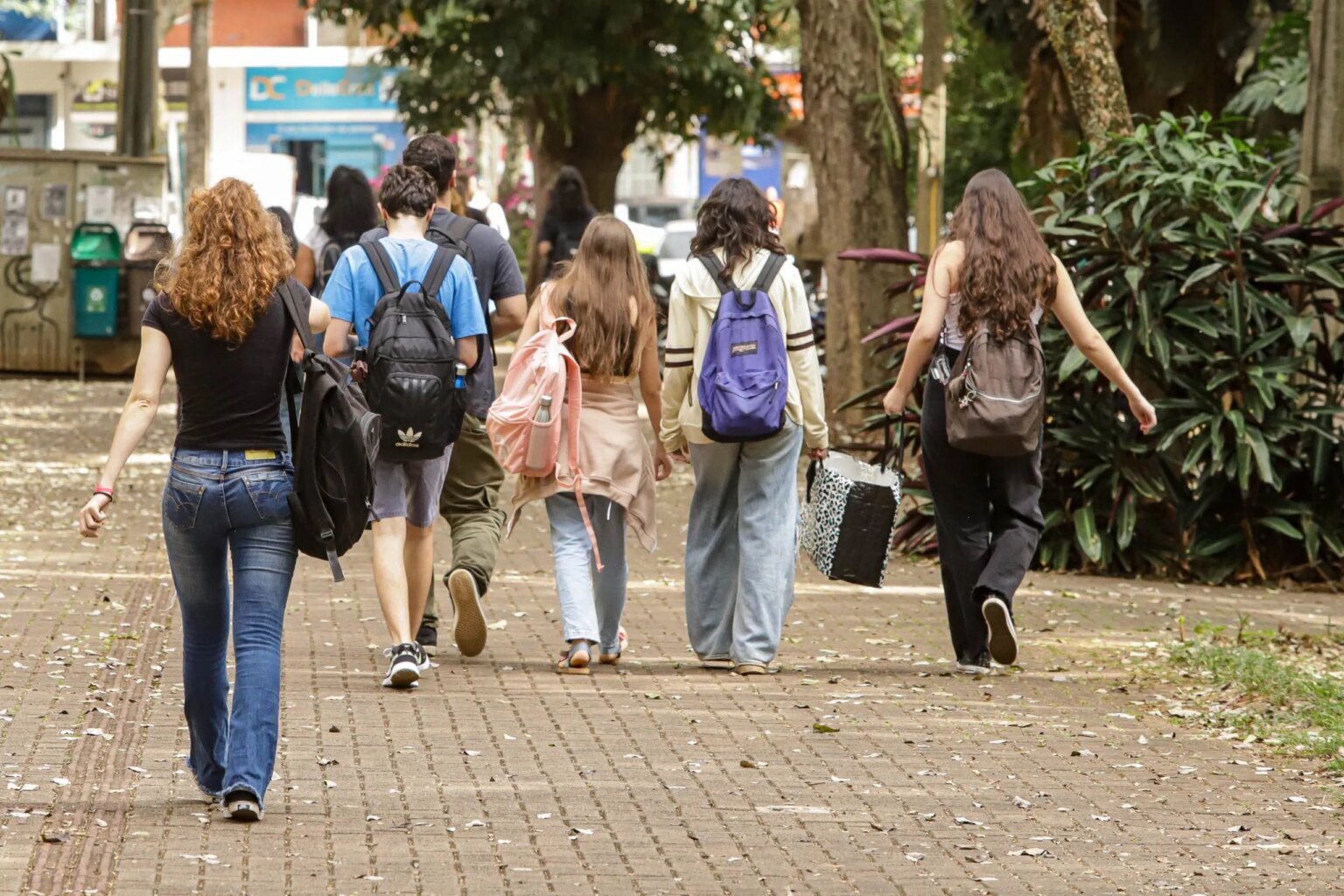 Queda de 100 mil jovens ‘nem-nem’ em cinco anos no Paraná Número de jovens 'nem-nem' cai 100 mil em cinco anos no Paraná