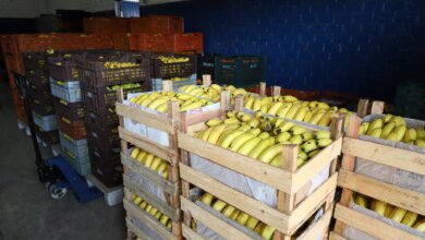 Preços de alimentos e bebidas caem 1,33% no Paraná em novembro