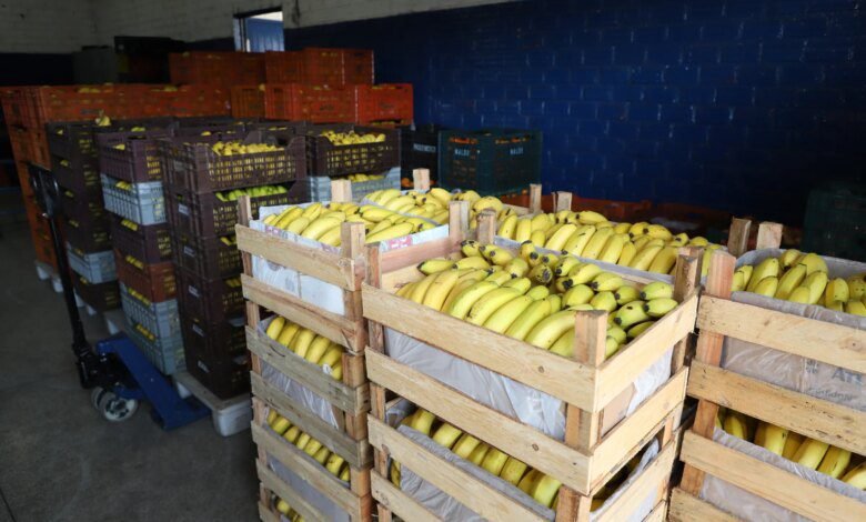 Preços de alimentos e bebidas caem 1,33% no Paraná em novembro