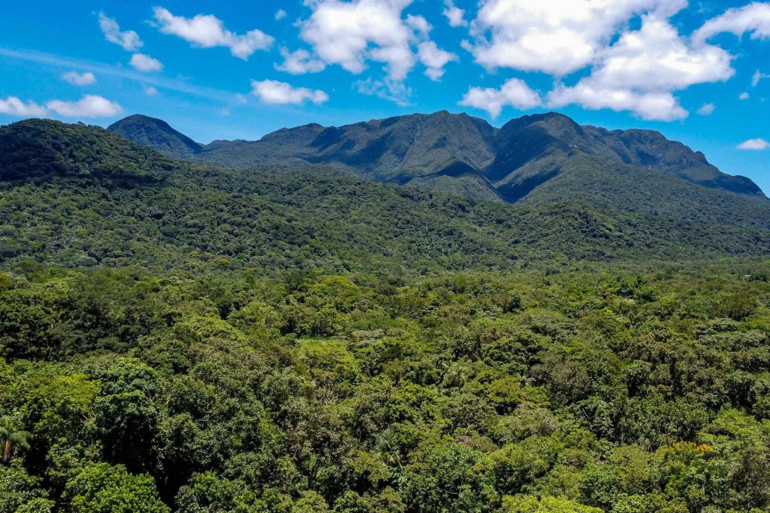 Reserva Mata Atlântica do Paraná é premiada em turismo nacional Grande Reserva Mata Atlântica do Paraná vence prêmio nacional de turismo