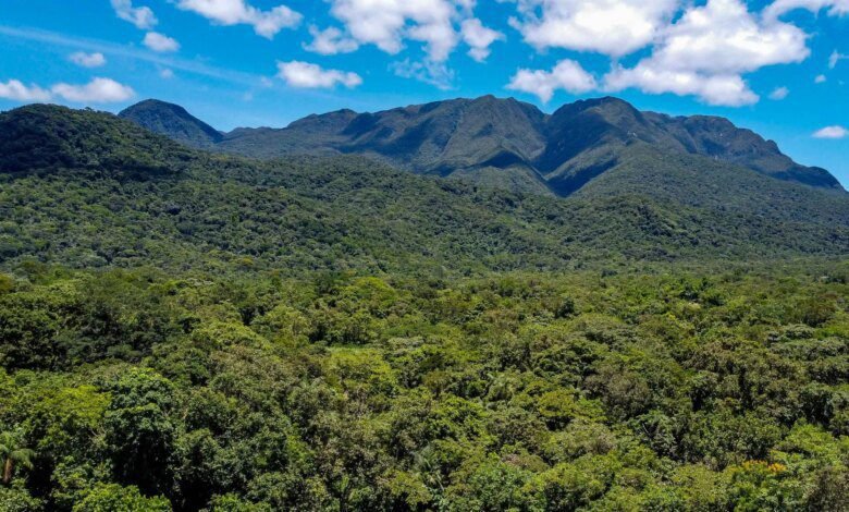Grande Reserva Mata Atlântica do Paraná vence prêmio nacional de turismo