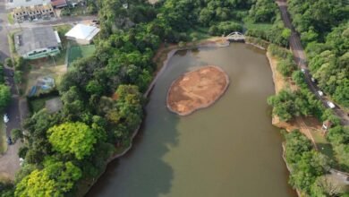 Sanepar avança nas obras de terreno que recebeu resíduos do Lago Municipal de Cascavel - O Paraná